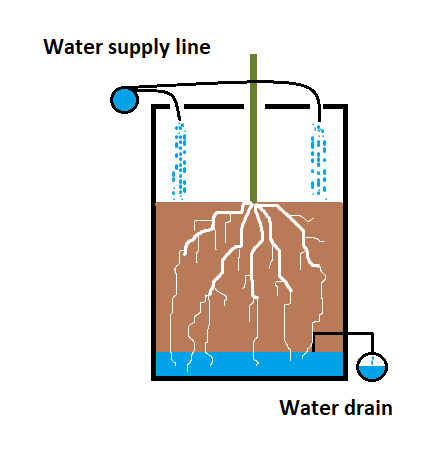 Cross section of a dutch bucket in aquaponics